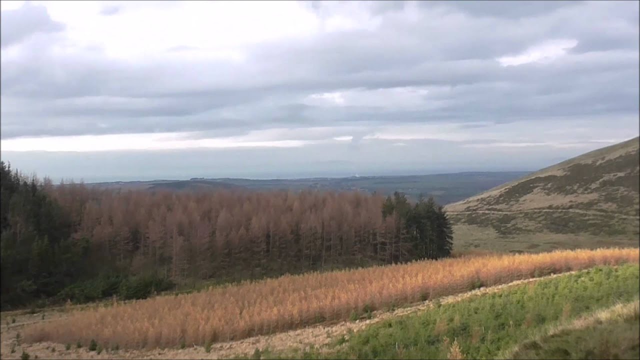 Melbreak Foxhounds 15/11/14