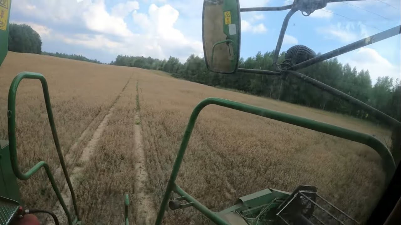 Owies pod kosę i dożynki! To były naprawdę szczęśliwe żniwa!