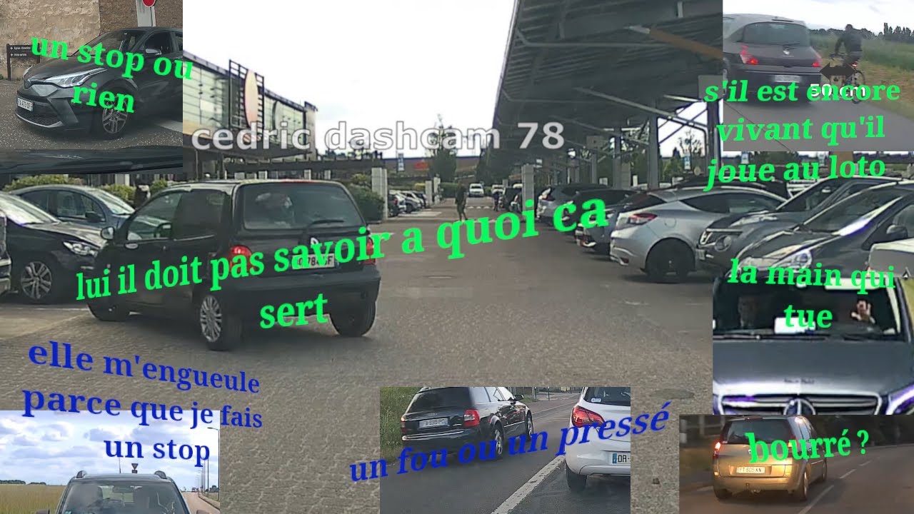 daily obs 261 elle me fait des signes car je respecte un stop