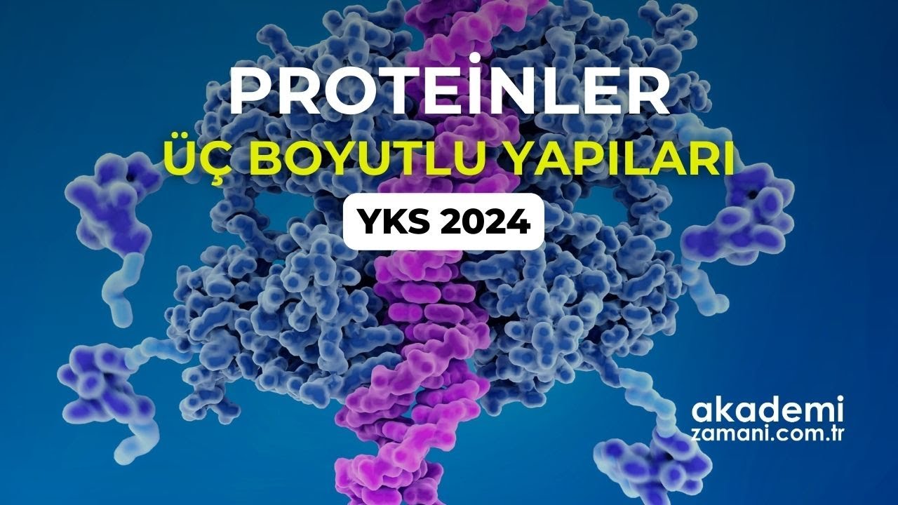 Proteinlerin Üç Boyutlu Yapısı | TYT Biyoloji | yks2024 #yks #tyt #ayt #biyoloji