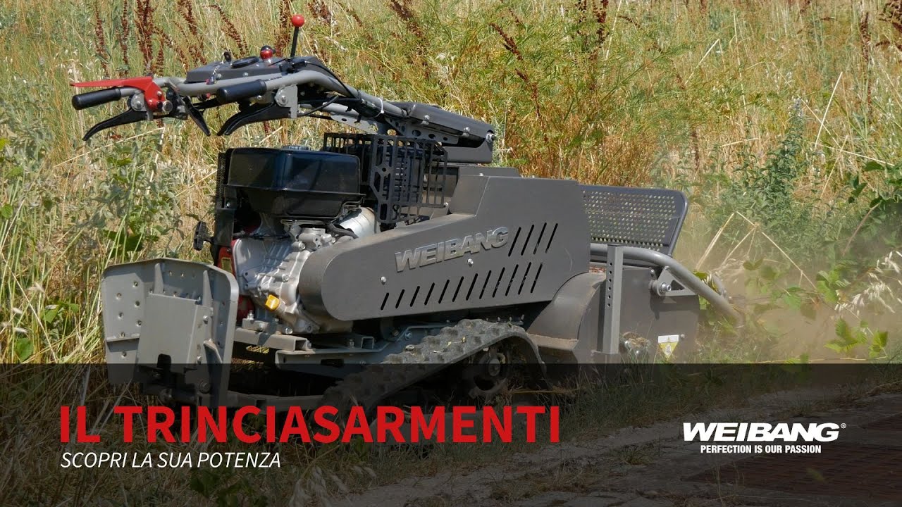 Scopri il trinciasarmenti professionale Weibang