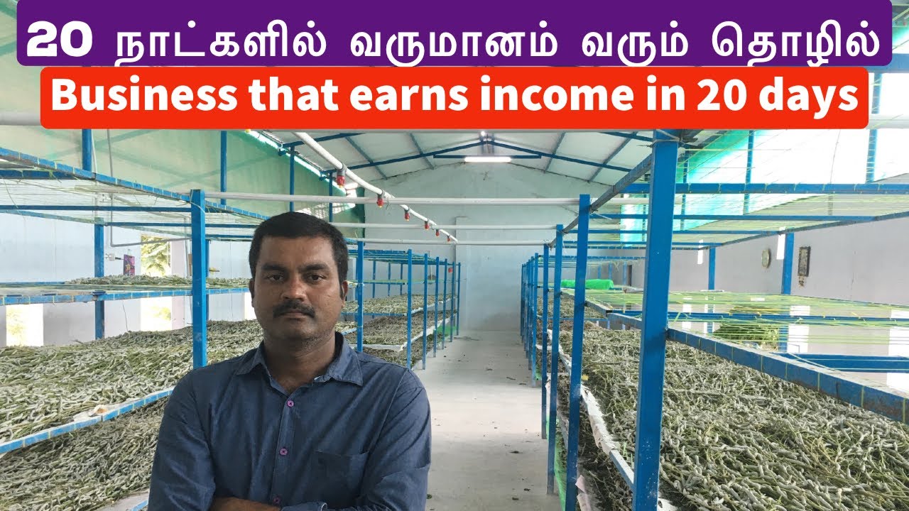 20 நாட்களில் அதிக வருமானம் தரும் ஒரே தொழில் | Highly Profitable Sericulture Business in Tamil