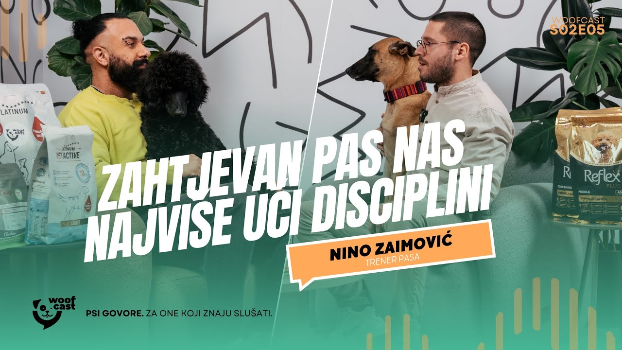 Nino Zaimović: Zahtjevan pas nas najviše uči disciplini | WOOFCAST | S02E05