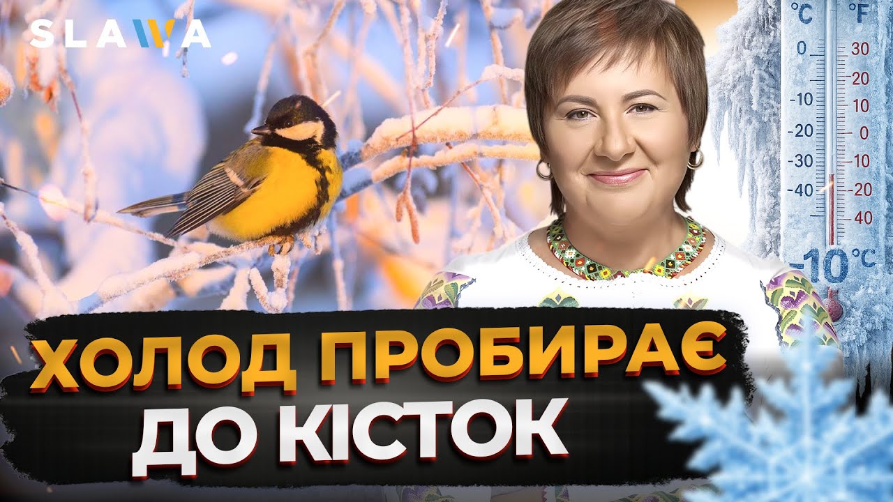 МОРОЗ ВЧЕПИВСЯ В УКРАЇНУ! Суцільний мінус: дороги перетворюються на ковзанку | Прогноз погоди