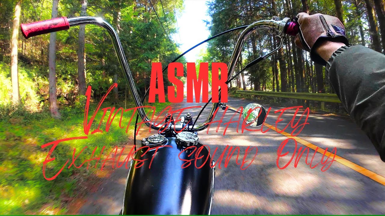 ヴィンテージハーレーで峠を攻めるだけの動画　shovelchopper exhaust sound only 【ASMR】