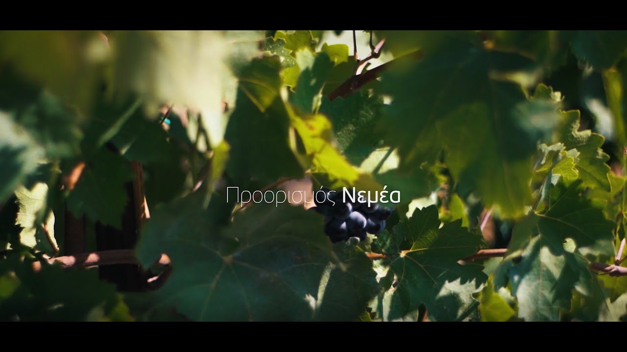 Γαστρονομικός προορισμός: Νεμέα