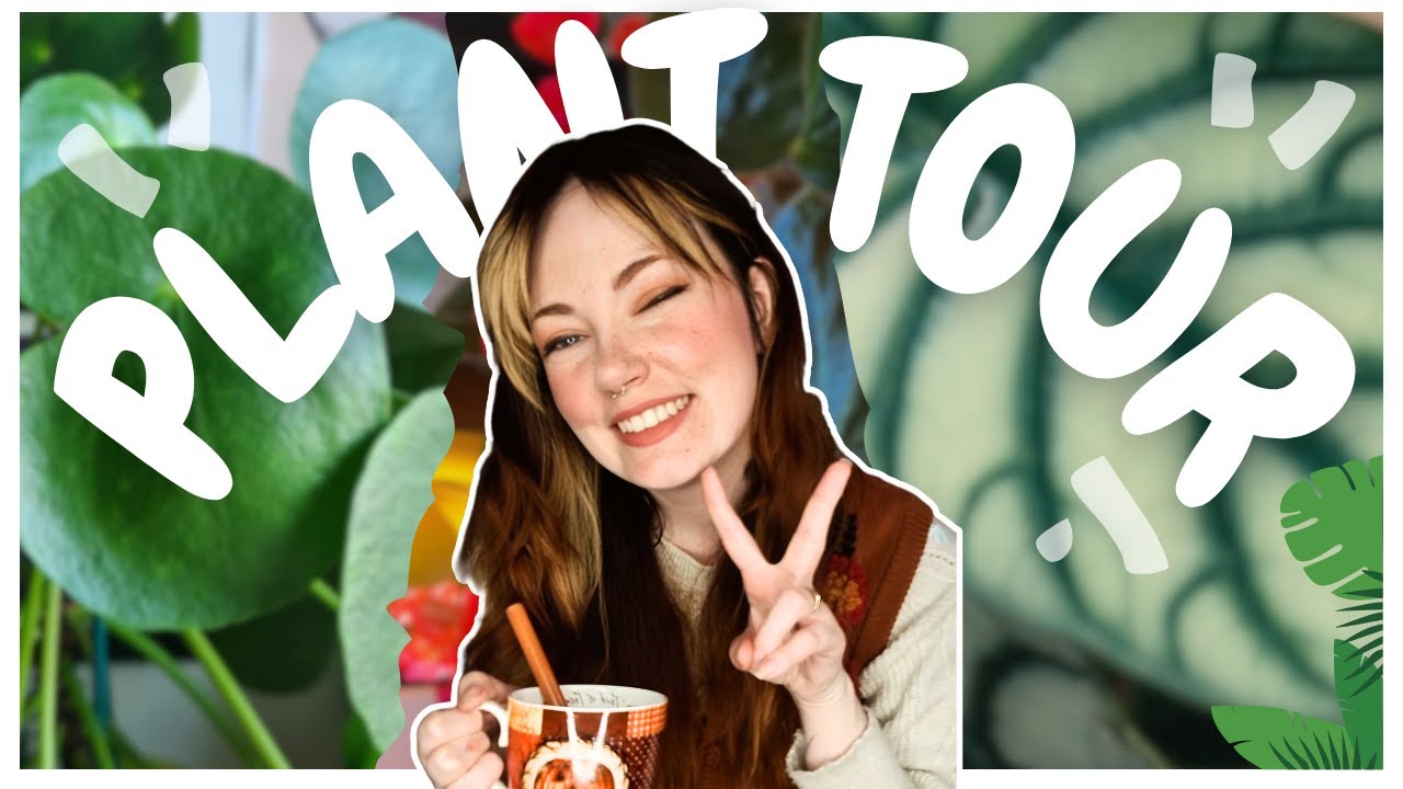 🪴PLANT TOUR 2024🪴