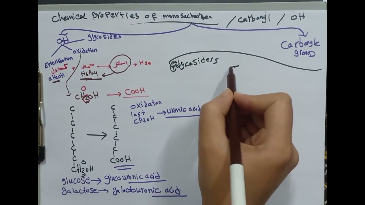 chemical properties of monosaccharides