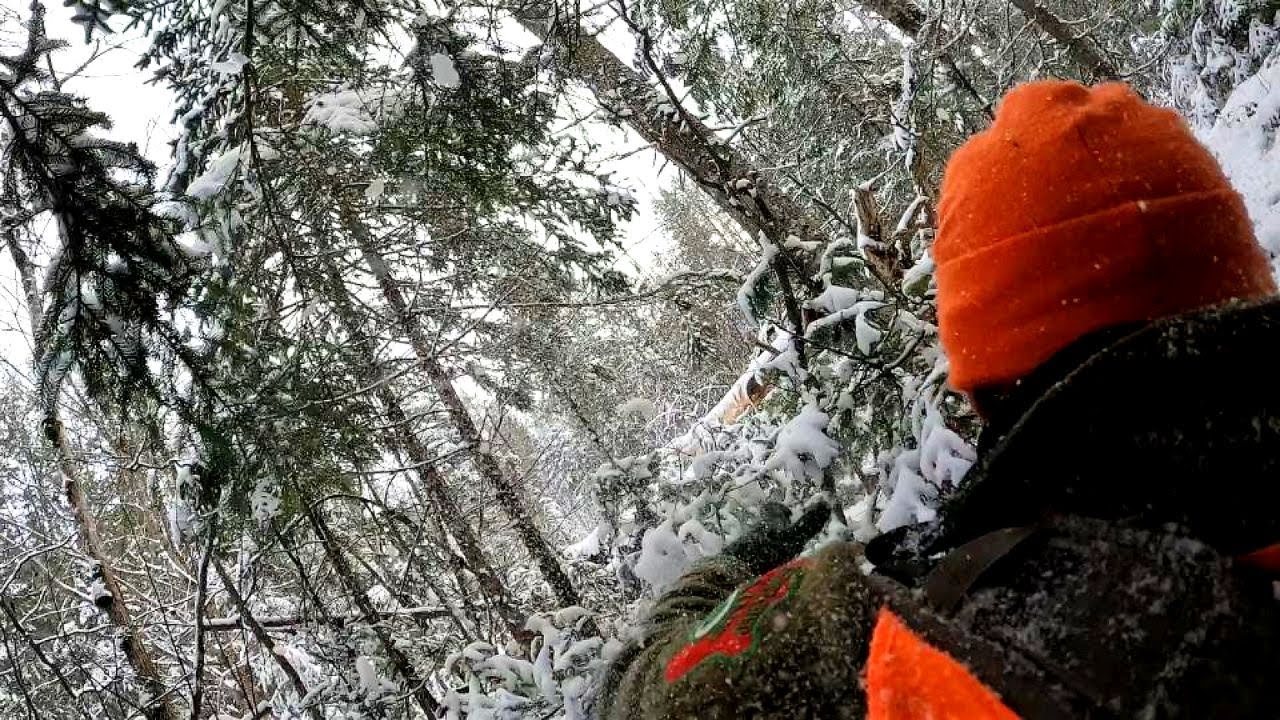 Tracking the Biggest Bucks in Maine | Just Keep Going