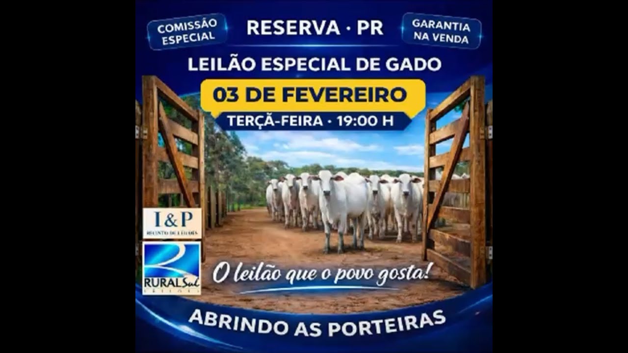 LEILÃO GADO DE CORTE | ABRINDO A PORTEIRA 03/02/2026 - RESERVA/PR | RURAL SUL LEILÕES