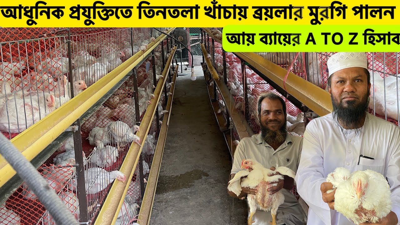 এখলাস ভাইয়ের সেমিকন্টল শেডে ব্রয়লার মুরগি পালন | modern broiler poultry farm | broiler murgi farm