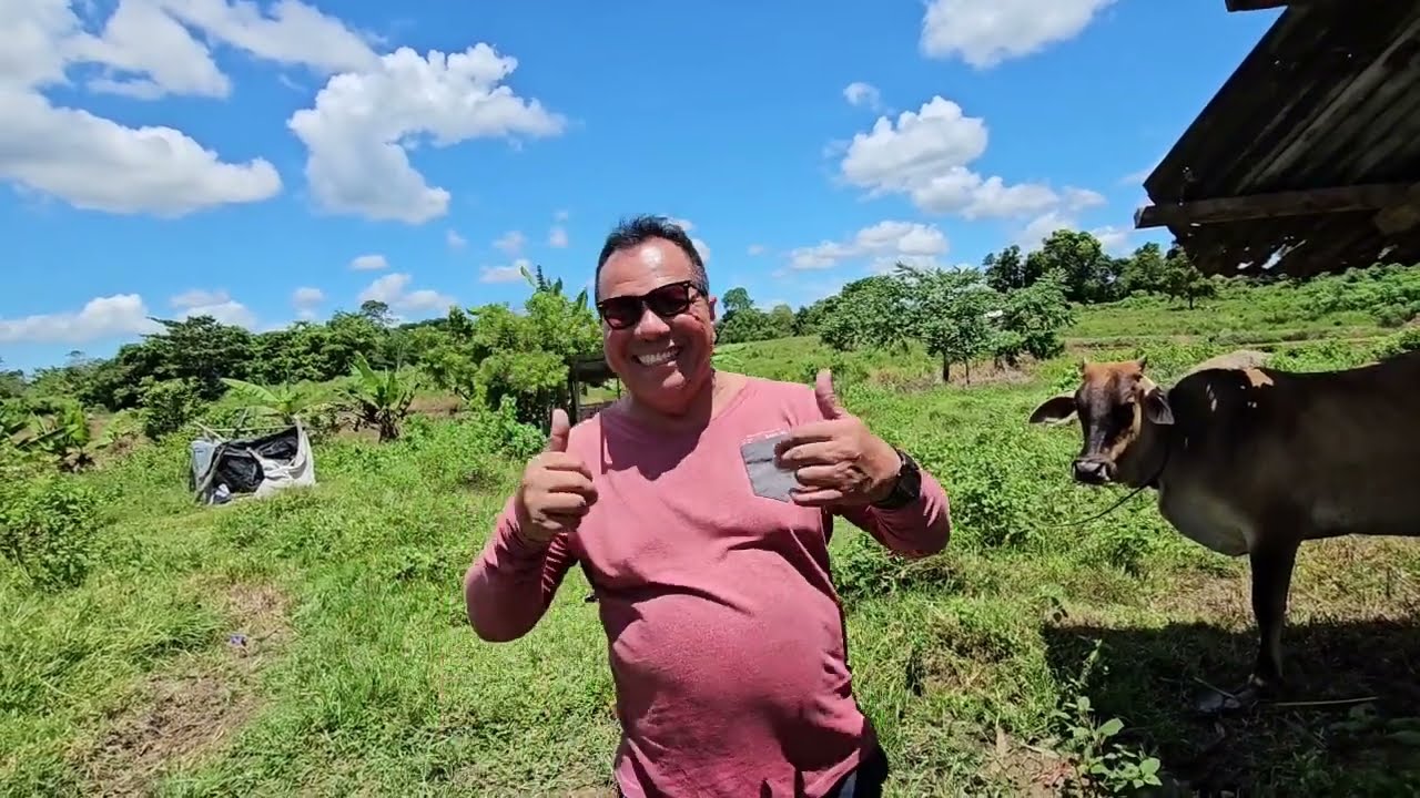 Bohol lot for sale 63,300 sqm clean title San Miguel Bohol Philippines 150/sqm net