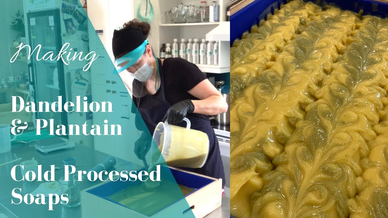 Making Dandelion, Plantain & Citronella Cold Processed Soap | With Oil Infusions