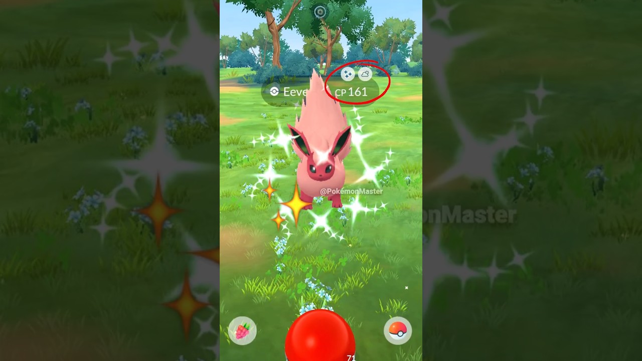 Got ✨ Shiny Flareon in Pokemon GO Community Day.