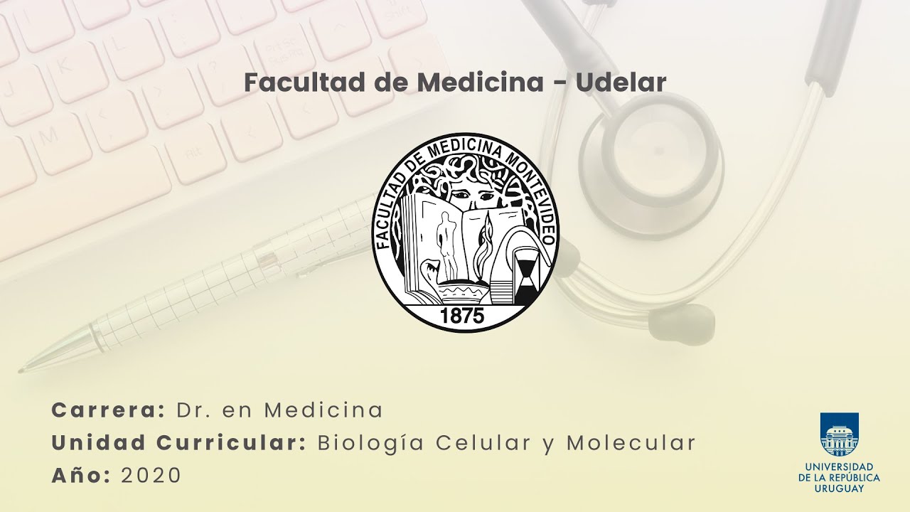 Síntesis proteica: Traducción