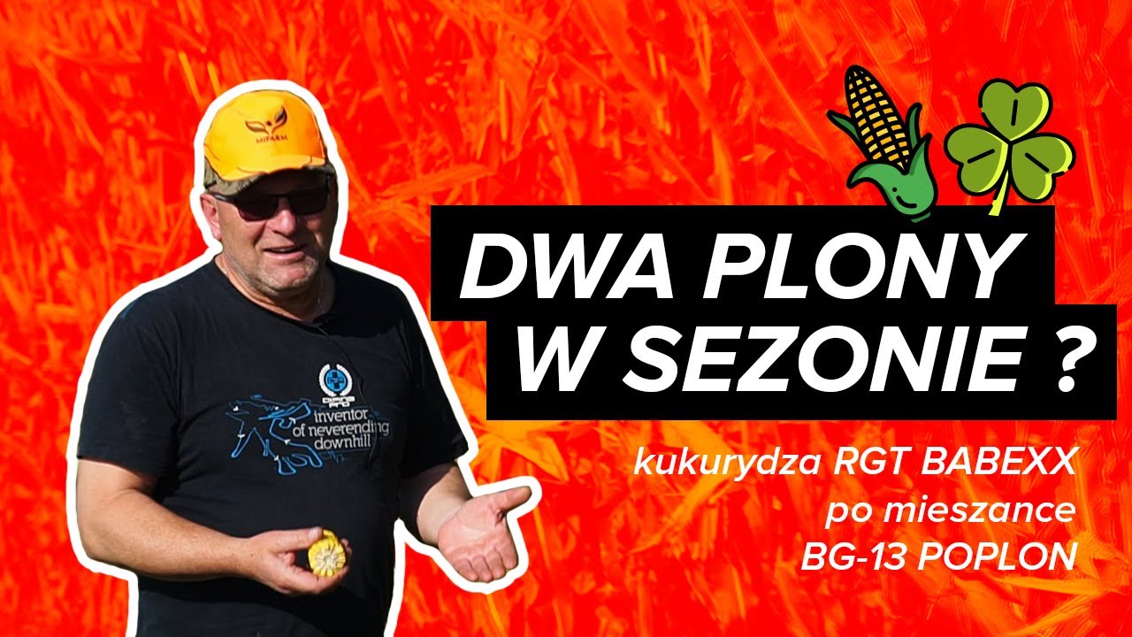Dwa PLONY z pola w sezonie? To jest możliwe! | MIFARM
