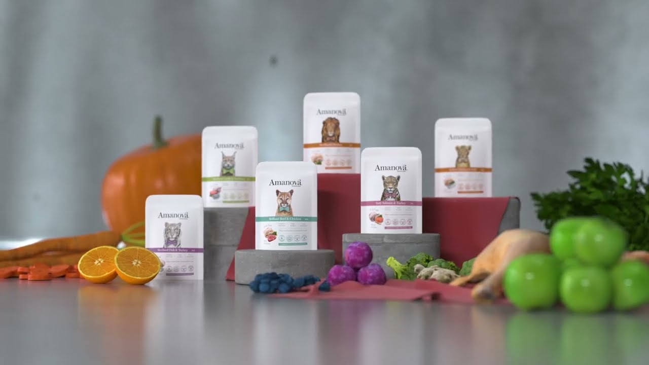 &iexcl;Tu gato no come cualquier cosa! Prueba nuestra comida h&uacute;meda.