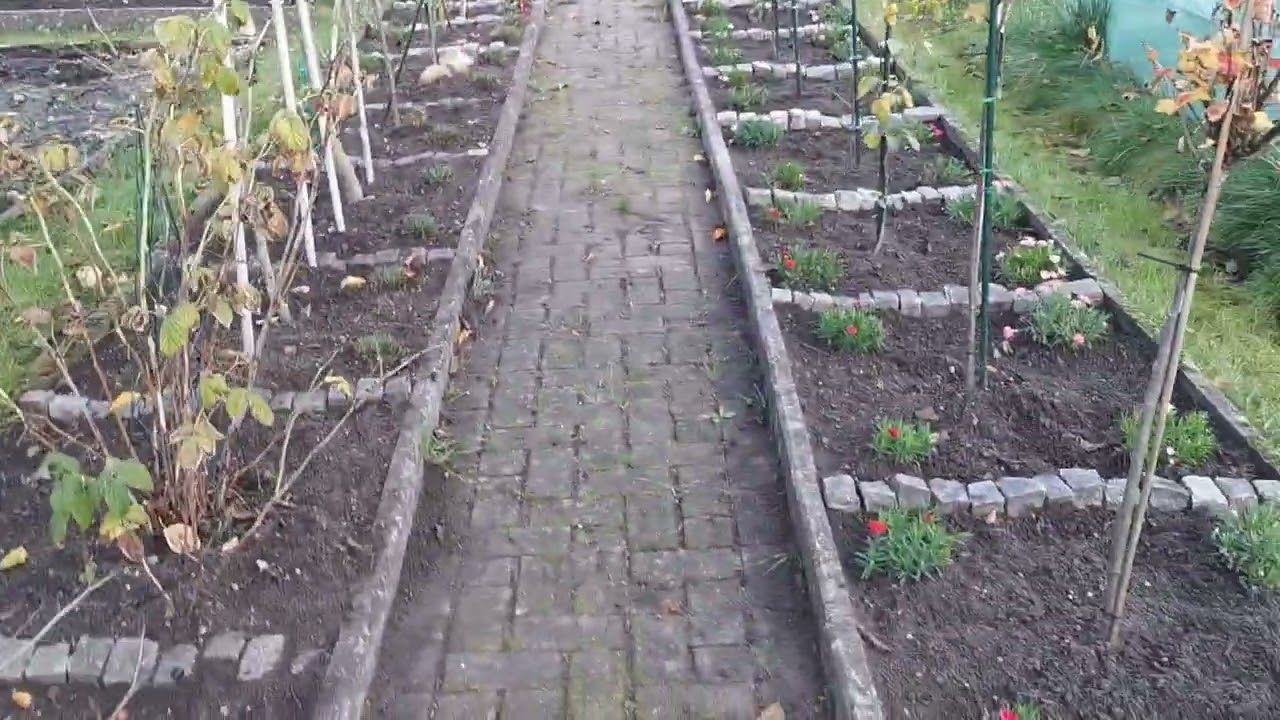 Wir bringen den Garten in die Winterruhe (Teil 1)