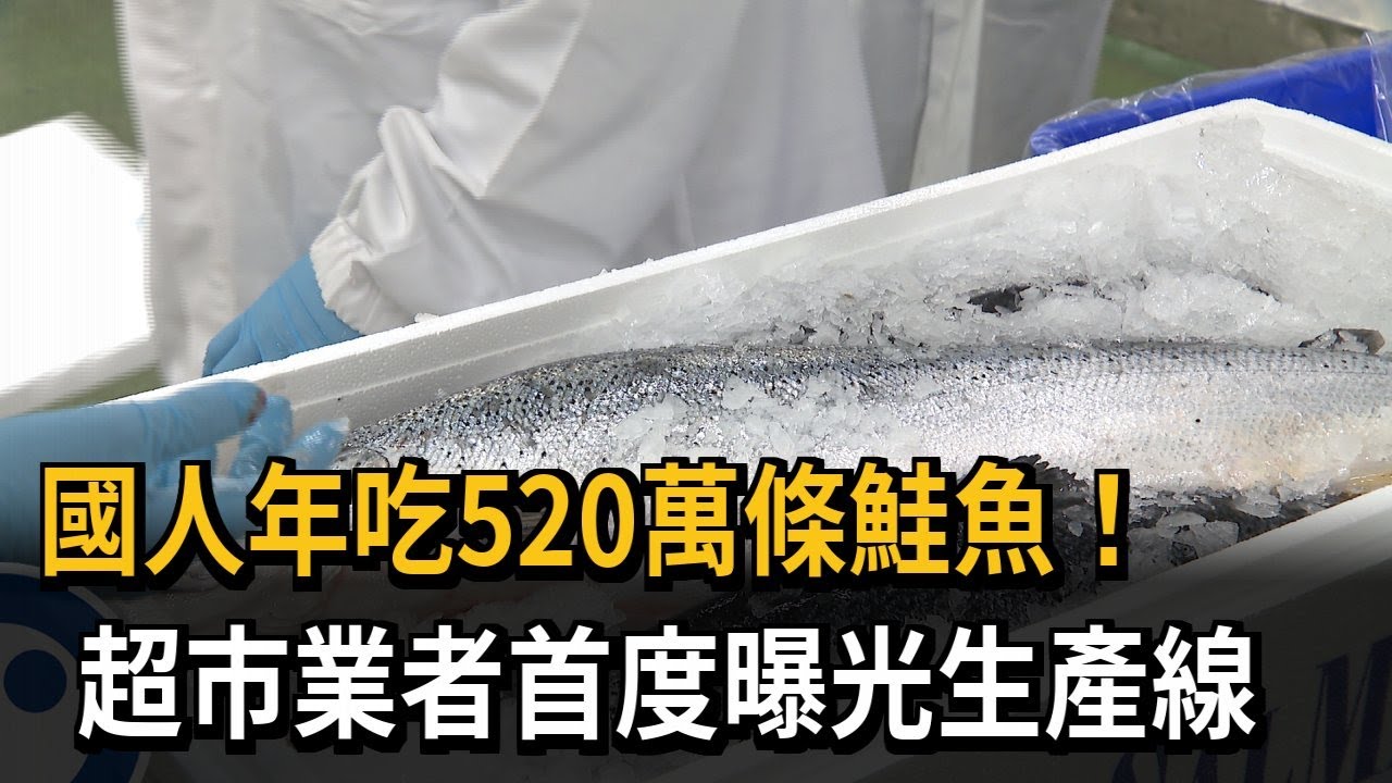 國人年吃520萬條鮭魚！　超市業者首度曝光生產線－民視新聞