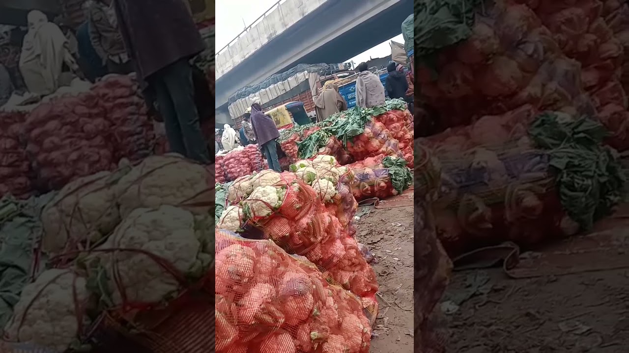 top sabji mandi patna #viral #shortvideo #ytshorts #trendingshorts #sabjimandibhav #patna