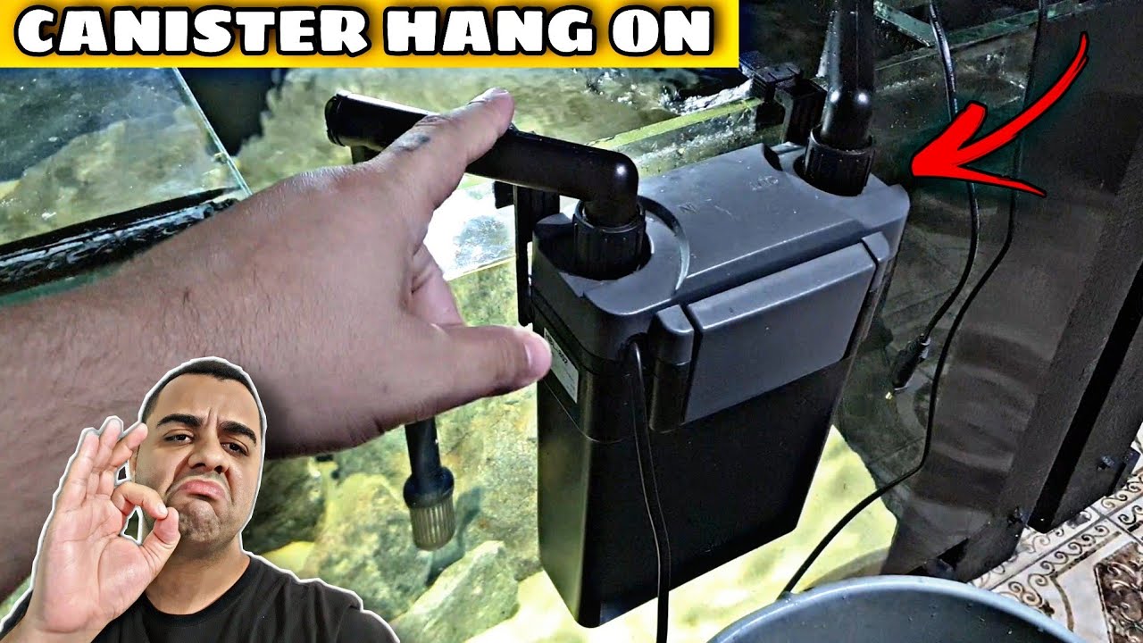 VALE A PENA TER UM FILTRO CANISTER HANG ON DA SUNSUN?