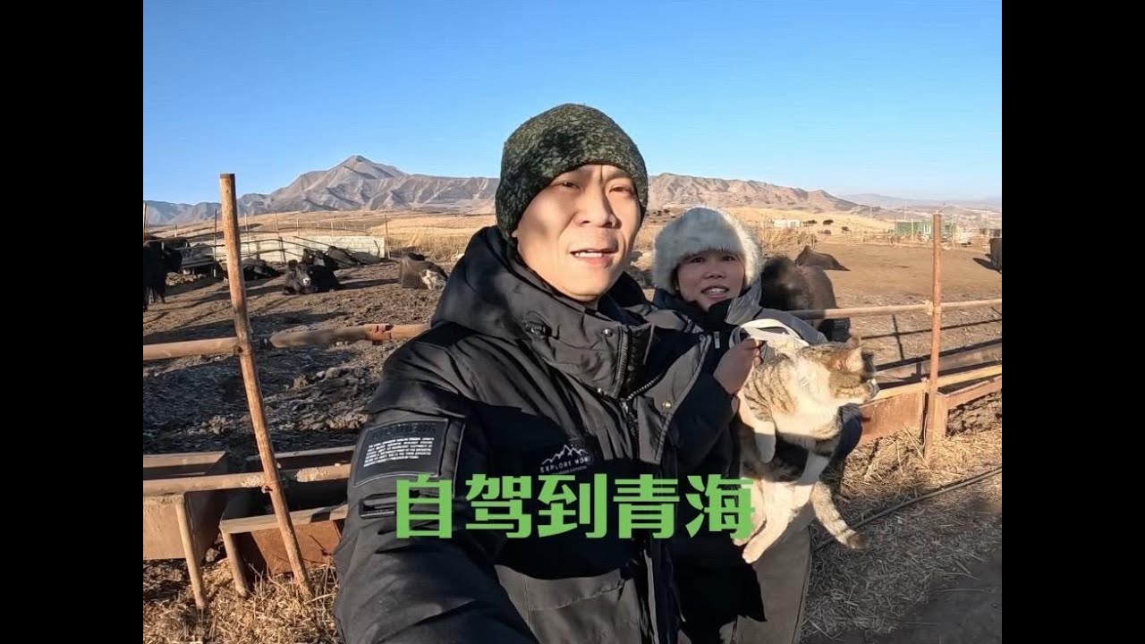 带着跑车里来的流浪猫回重庆，经过青藏高原带些牦牛肉回家过年
