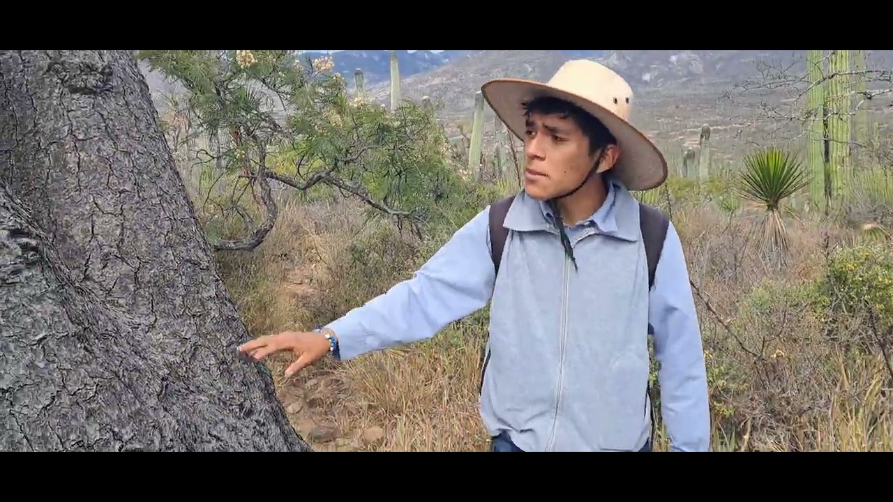 Biosfera de tehuacan Puebla, México mágico #rinoxicloviajero_