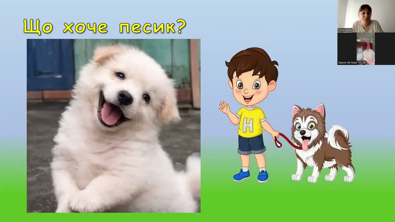 02.03.26 V Міжнародний урок доброти «Щаслива лапа»