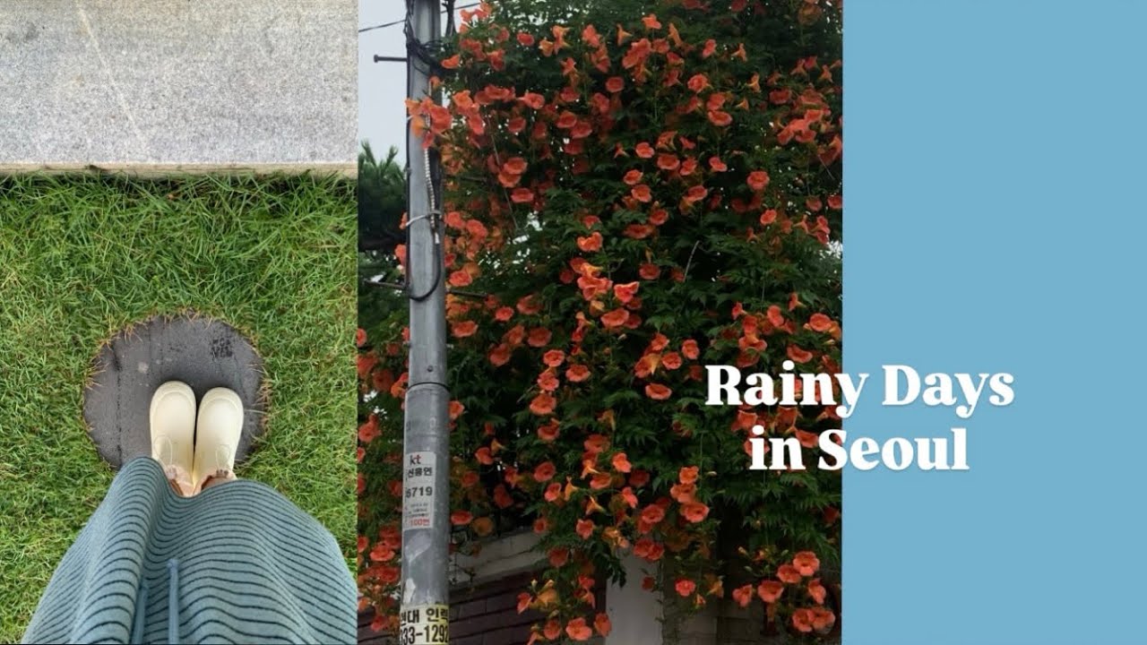 (sub KR)雨の日のソウル散歩＠연희동(ヨンヒ/ヨニ) ☔️ 元気のない日の過ごし方