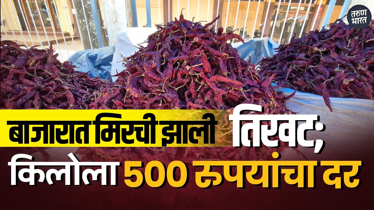 वाढत्या महागाईचा गृहिणींच्या स्वयंपाकघरावर फटका; बेळगाव बाजारपेठेत लाल मिरचीचा दर वधारला