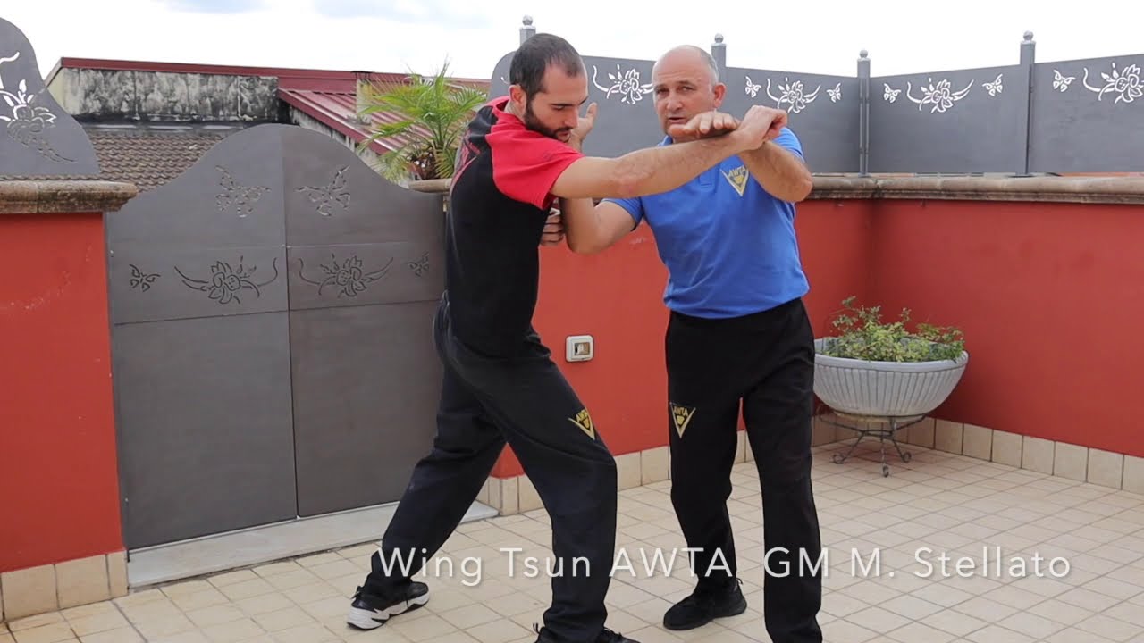 Wing Tsun AWTA  -  Il GM Stellato risponde