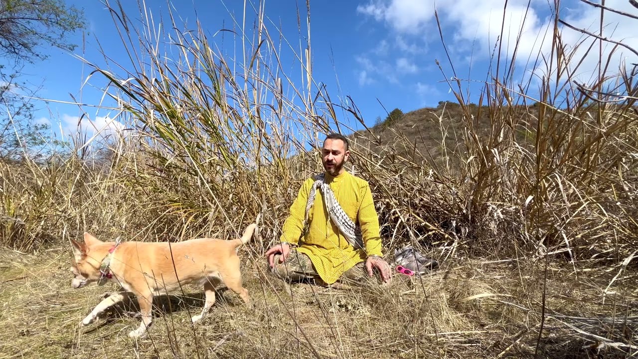 jai sarasvatī / meditative indian devotional music 🌸
