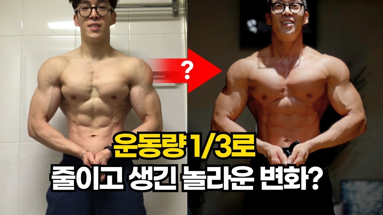 하루 4시간씩 운동하다가 줄이니까 3년만에..? | 효율을 갉아넣은 새로운 가슴+등 루틴