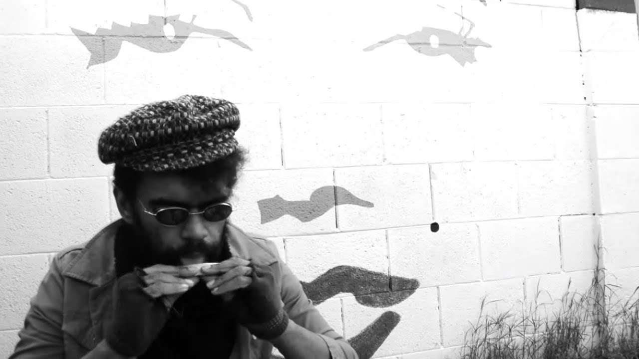 Everybody Likes You Now - ANDY WARPIGS - Folk Punk Yourself (Official Music Video)