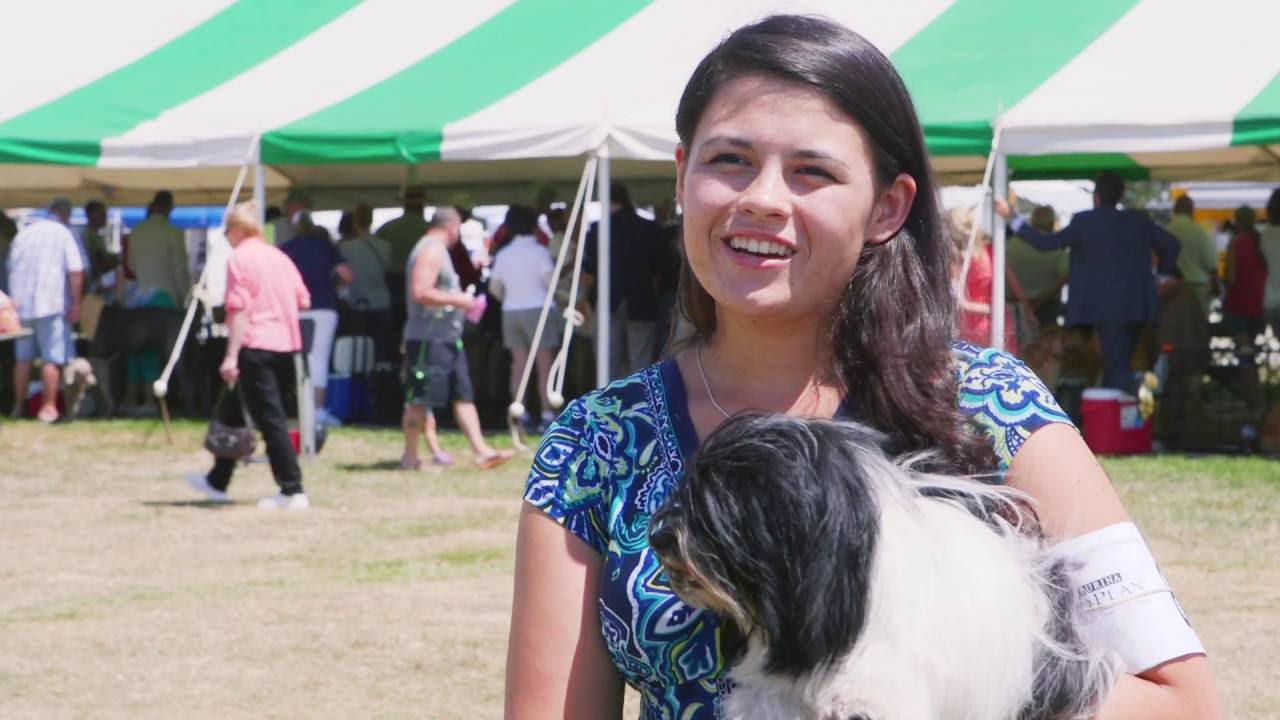 Road to Westminster (RTW): Junior Handler Rachel Meyers