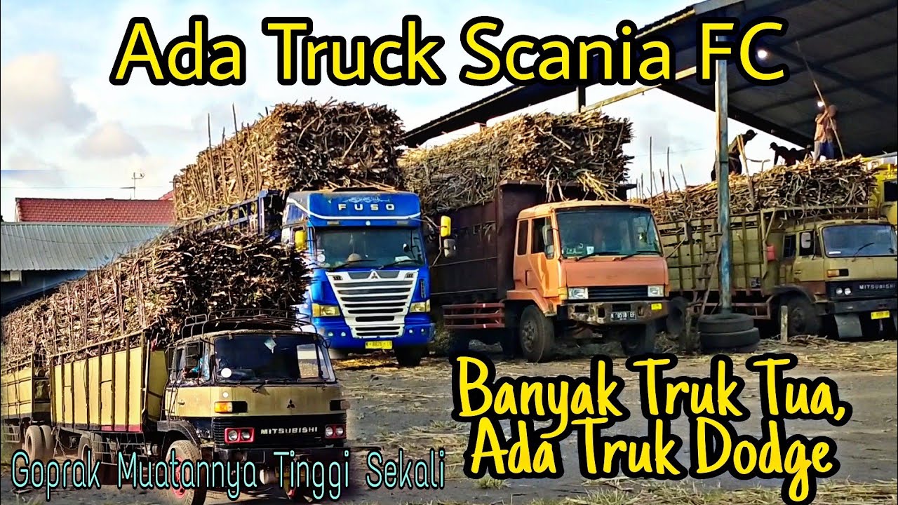 Vlog Amperan Tebu Singosari Turen Malang