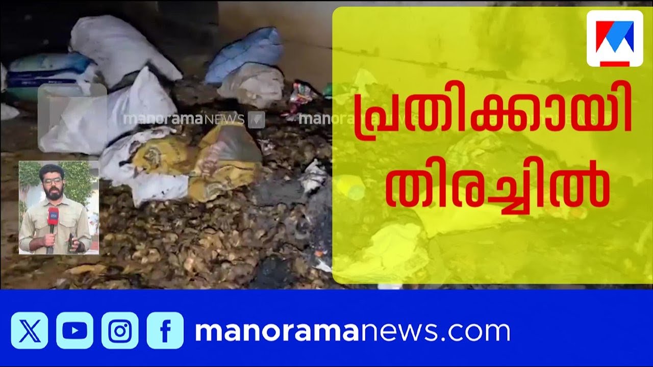 മിനി വാൻ ഉപയോഗിച്ച് കാർ ഇടിച്ചുതകർത്തു; മില്ലിന് തീയിട്ടു; താമരശ്ശേരിയിൽ യുവാവിന്റെ പരാക്രമം| Kerala
