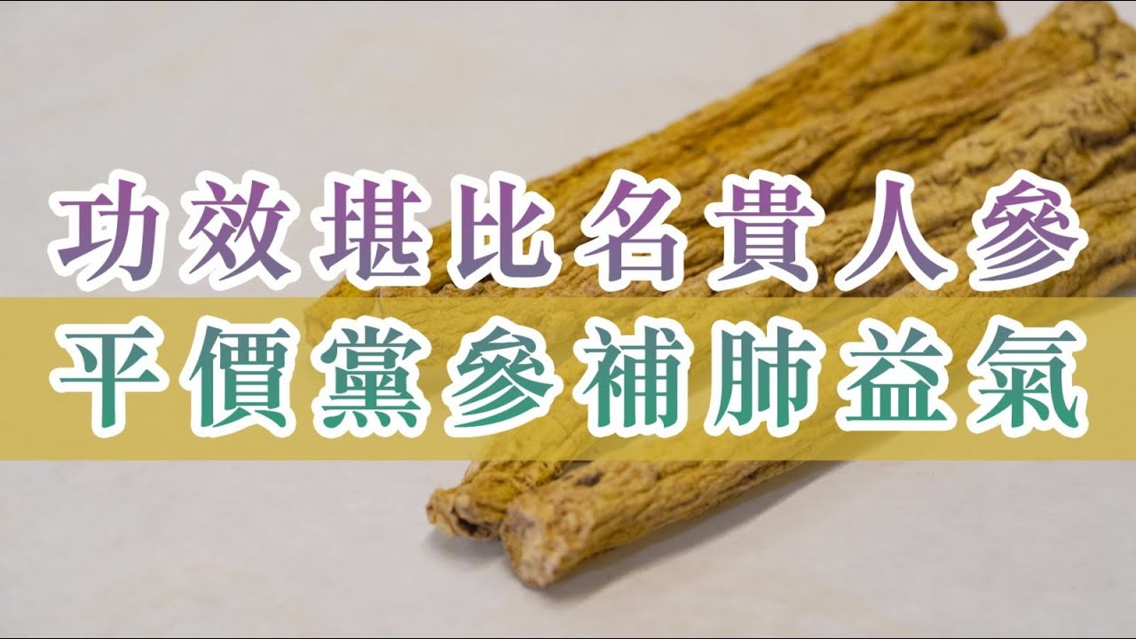 養生Talk｜功效堪比名貴人參 平價黨參補肺益氣