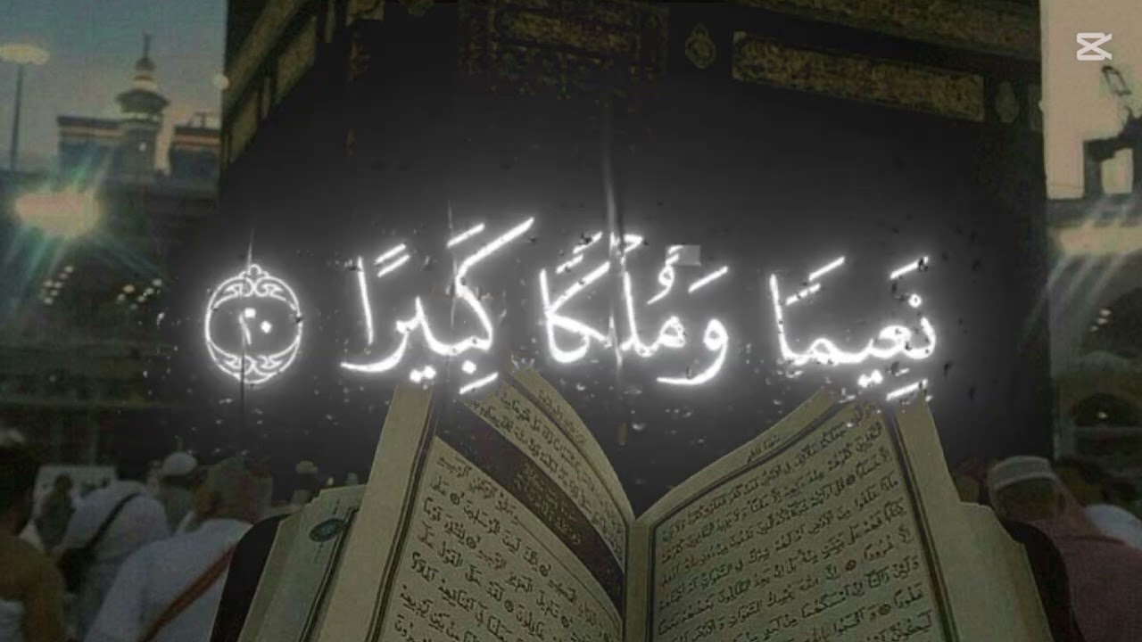 تابعوووه #toleen