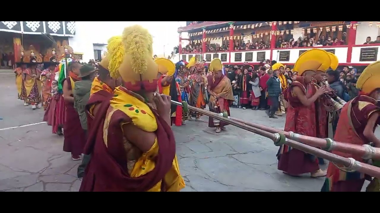 Thorgya Festivals 