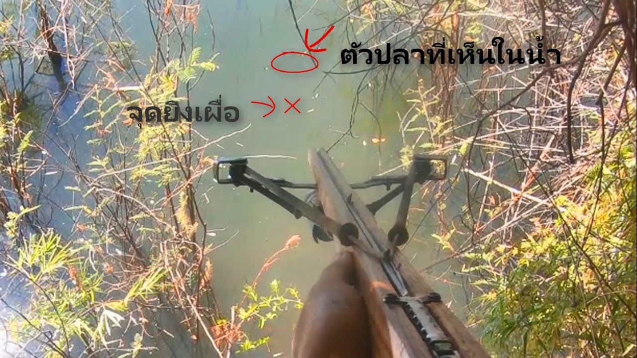 แนะนำมือใหม่ยิงปลา ต้องเผื่อใต้ตัวปลาแบบไหน หลักการหักเหของแสงเป็นยังไง