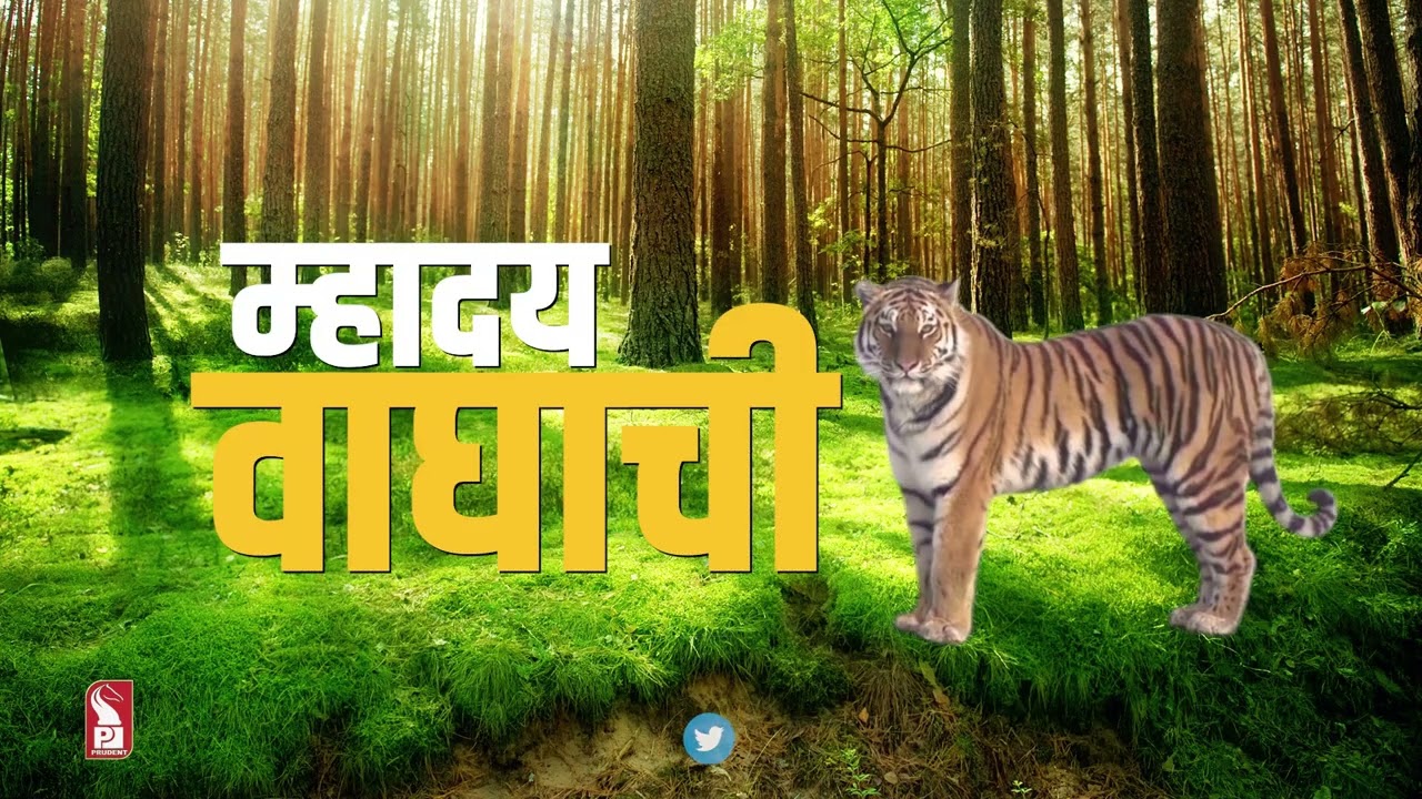 NOTIFY MHADEI WILDLIFE SANCTUARY AS TIGER RESERVE: HC TO GOVT