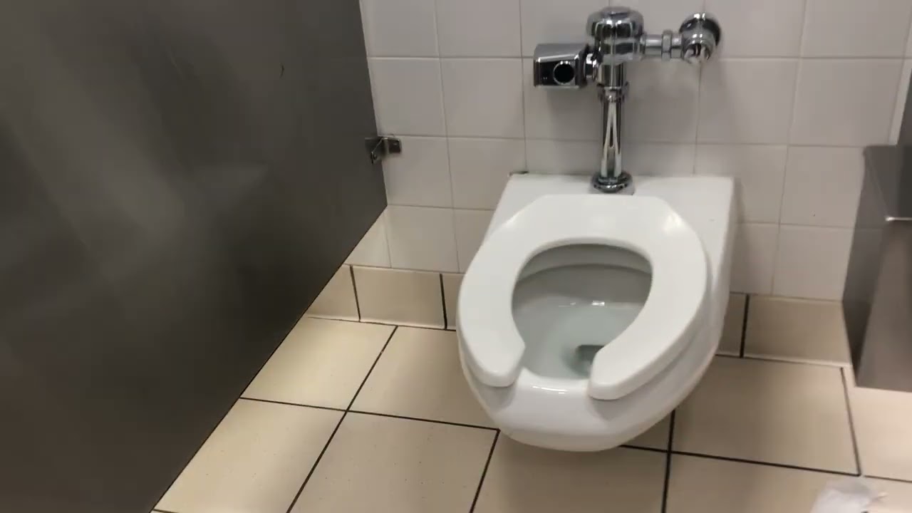For @bubbiesbobo4210 pt 3 Women’s restroom at Windsor Target