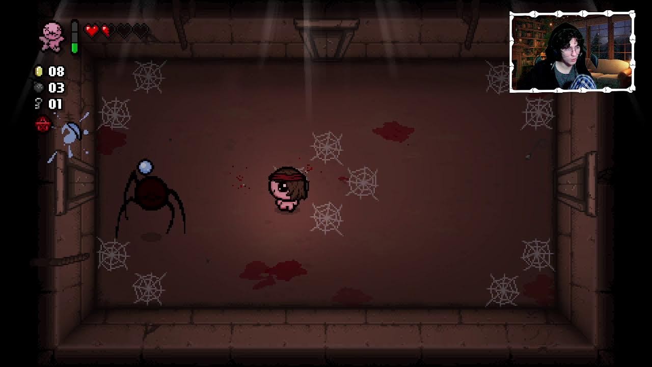 Rain World or Binding of Isaac?