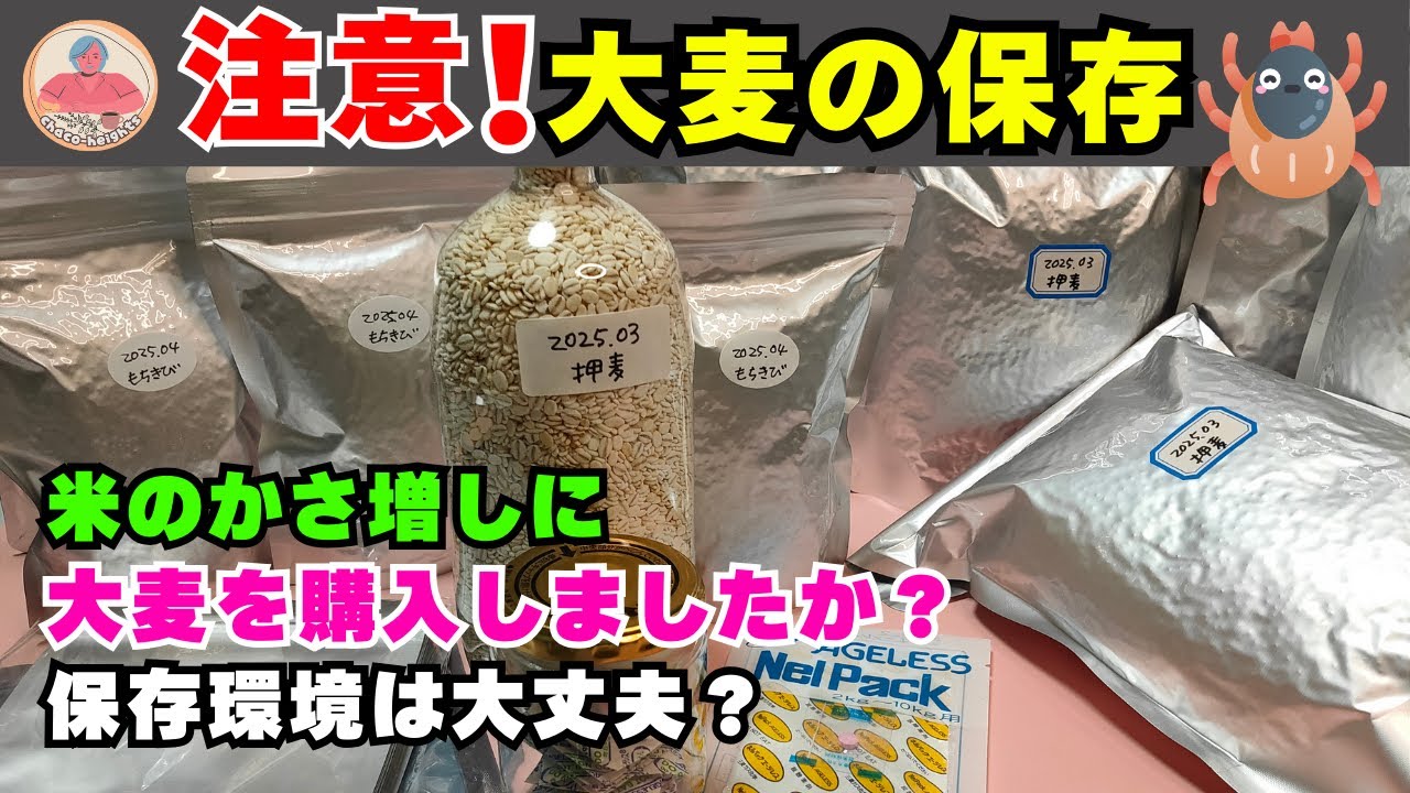 大麦の保存はお米と同じ！室温が高くなる前の対策