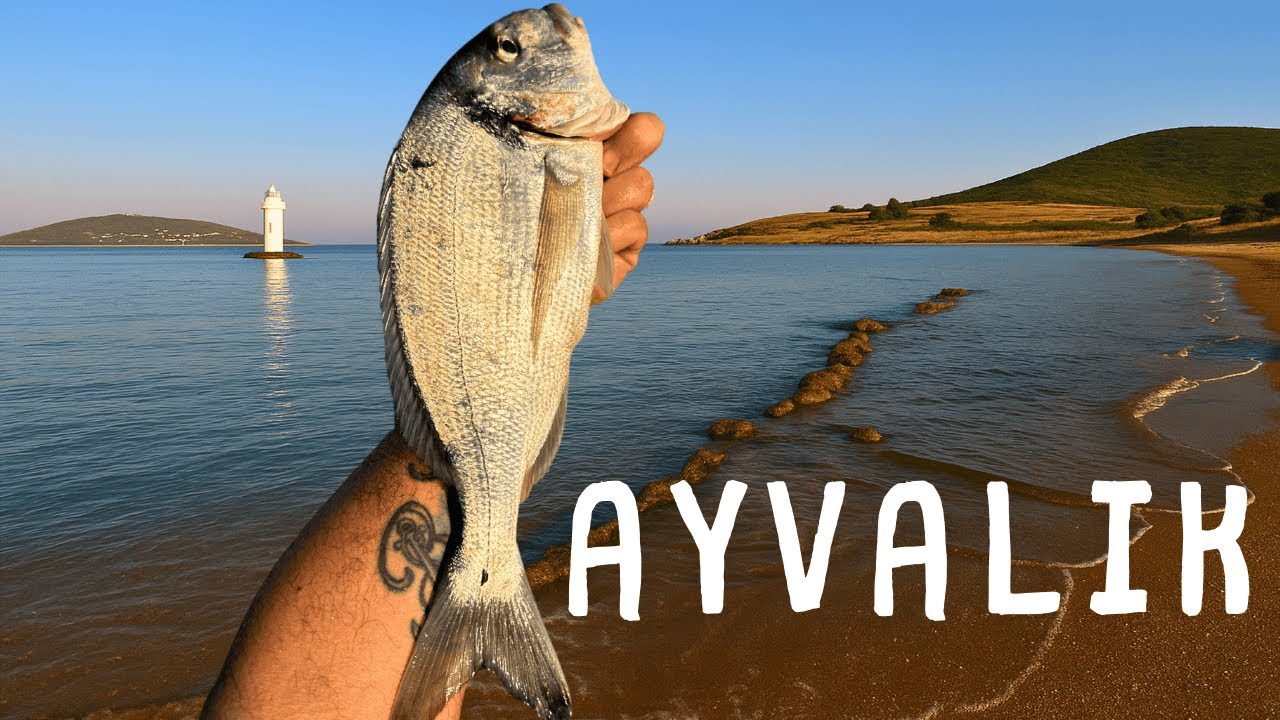 Ayvalık’ta Off Road Macerası ve Surfcasting Çupra Balık Avı | Kamp ve Büyük Balık Heyecanı