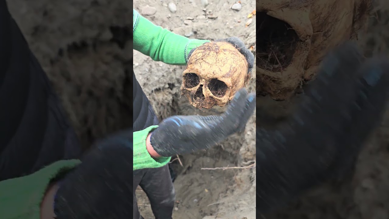 Всё о эксгумации выше в ленте тг канала Кладбищенские Будни ⚰️ ! #gravedigger_plan #эксгумация