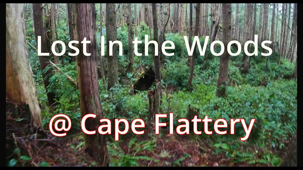 Lost in the woods at Cape Flattery