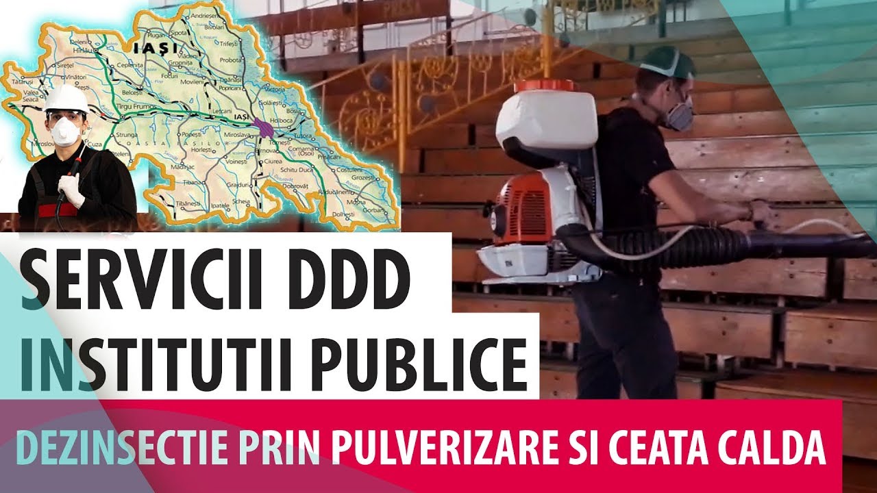 DDD Company Dezinsectie prin pulverizare si ceata calda