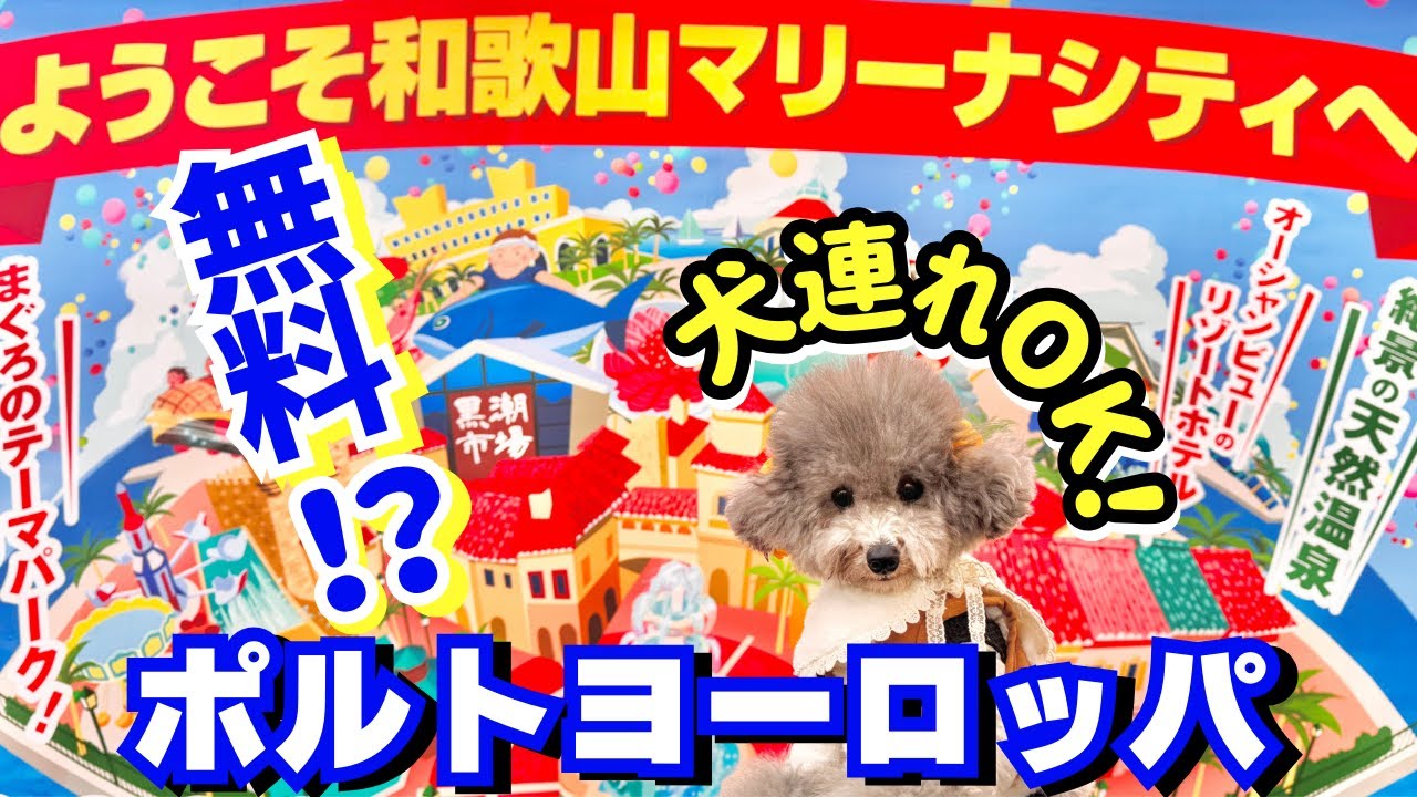 愛犬と旅行！和歌山マリーナシティの穴場スポット、絶品グルメを徹底紹介！【ポルトヨーロッパ】【黒潮市場】